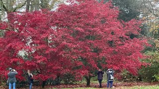 Stourhead Wiltshire National trust Garden [upl. by Voccola]