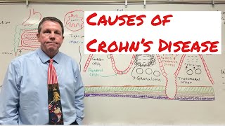 Causes of Crohn’s Disease [upl. by Pincus]