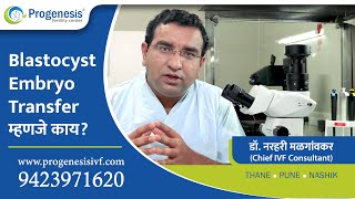 What is Blastocyst Transfer Marathi [upl. by Hselin248]