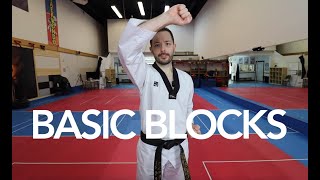 Basic Taekwondo Blocks [upl. by Netsrak49]