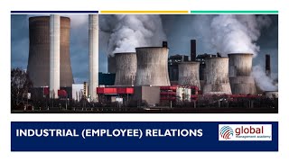 Industrial Relations  An Introduction [upl. by Atikaj952]