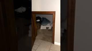 Chuck E Cheese Attacked Inside Closet [upl. by Assennev753]