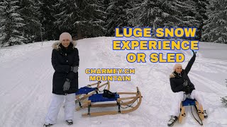 Luge Experience in CharmeychSledfirstexperiencesnowsportCandicecattin [upl. by Otto491]