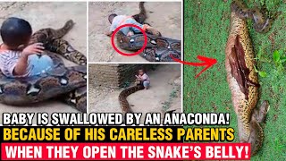 Baby is SWALLOWED by an ANACONDA because of his careless parents [upl. by Gary]