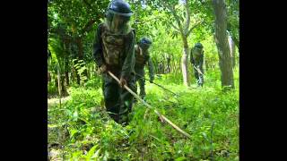 Kids and Landmines [upl. by Khanna]