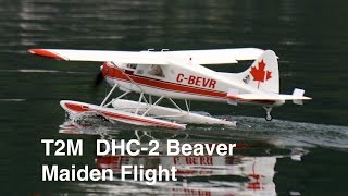 T2M Beaver Maiden [upl. by Cheston]