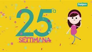 25° settimana di gravidanza [upl. by Ococ]