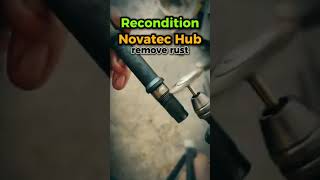 mtb novatec hub recondition bicyclekick mtblifestyle mtblife mtbguide bicycletouring [upl. by Nevaeh]