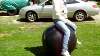 24 inch black hoppity hop ball [upl. by Ibob]