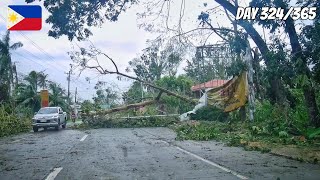 SUPER TYPHOON ODETTE HITS BOHOL  The Next Morning  No Comment [upl. by Noremac]