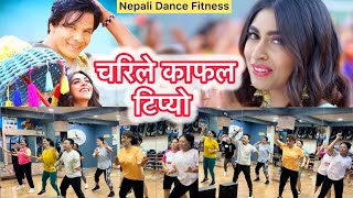 Chari le Kafal  Rajan Raj ShiwakotiMilan NewarBiraj BhattaNikita ChandakNepali Dance Fitness [upl. by Yttig]