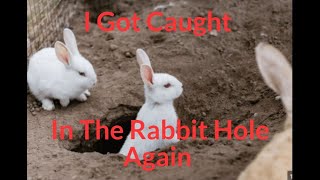 That Darn Rabbit Hole [upl. by Scheider]