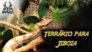 Terrário para Jiboia [upl. by Ddet]