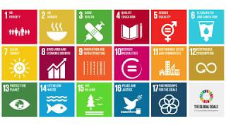 UN Sustainable Development Goals SDGs What They Are amp Why Theyre Important [upl. by Graeme]