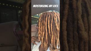 Showing how I moisturize my Locs rosewater locs moisturizinglocs [upl. by Ayekam]