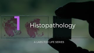 Histopathology [upl. by Hyacintha103]