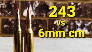 243 vs 6mm creedmoor [upl. by Gnahk]