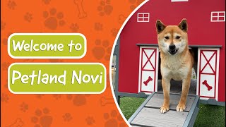 Welcome to Petland Novi [upl. by Canica]