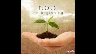 Flexus  The Beginning [upl. by Aynek24]