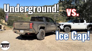 2024 Tacoma TRD Pro  Underground vs Super White [upl. by Yzmar236]