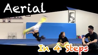 Aerial Tutorial  How to do it in 4 steps [upl. by Mcdougall44]