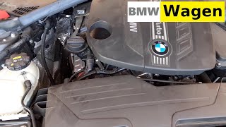 BMW Exhaust pressure sensor localization [upl. by Madanhoj71]