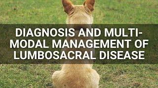 MultiModal Management of Lumbosacral Disease [upl. by Adnilak]