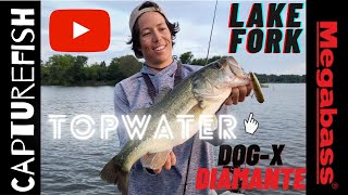 Lake Fork Topwater Megabass DogX Diamante Smackdown [upl. by Eeimaj]