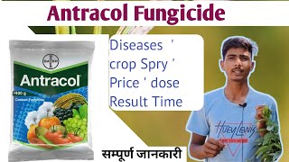 Bayer Antracol fungicide propineb 70 Wp antracol Hindi full details VideoBayer productफंगीसाइड [upl. by Nyvrem236]