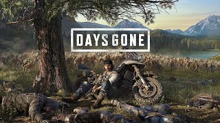 Days Gone PC STEAM  Super Ultra Wide amp RTX 4090 [upl. by Yrellih]