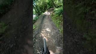 Norkle BPW downhill mountainbike mtb bikeparkwales bpw warmup [upl. by Ayram437]