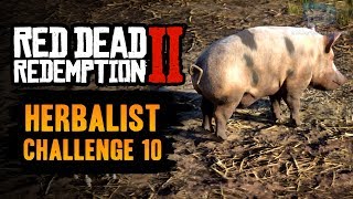 Red Dead Redemption 2 Herbalist Challenge 10 Guide  Season and cook all 11 types of meat [upl. by Erinn897]