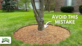 Tree Edging and Mulching Mastery  Tips for PicturePerfect Circles [upl. by Teferi]