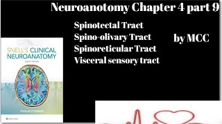 Neuroanatomy chapter 4 part 9Spinotectal TractSpinoreticular TractSpino olivary TractVisceral [upl. by Ajat712]