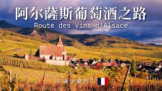 36 阿薩斯葡萄酒之路，法國最美村莊，埃吉桑，里屈維爾，Route des Vins dAlsace by Travel in Europe [upl. by Lavoie]