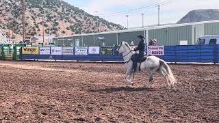 Bardell’s Vegas Guy Thermopolis WY PRCA [upl. by Ardnayek329]