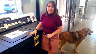 Nicole Morici and Ginger Highlights Eatontown TV and Appliances quotSpeed Queenquot Display [upl. by Nath768]