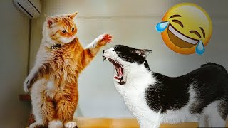 Cute and Funny Pet Moments Caught on Camera 😹😹 Funniest Catss 😅 [upl. by Igal]