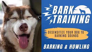 Bark Training Sounds For Your Dogs  Dog Boarding Preparations  Training Sounds for your Dogs [upl. by Eiddal]