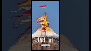 Today lord jagannath temple darshan 🙏 puri jagannathpuritemple temple subscribe [upl. by Ahse]