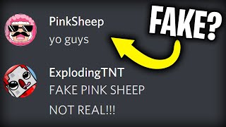 IS THIS THE REAL PINK SHEEP [upl. by Melonie596]