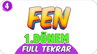 4 Sınıf Fen Bilimleri 1 Dönem Full Tekrar ♻ 2022 [upl. by Dranyer]