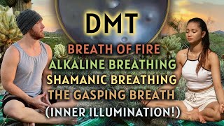 INNER ILLUMINATION POWERFUL DMT BREATHING EXERCISES TO INCREASE LIFE FORCE ENERGY [upl. by Adehsor]