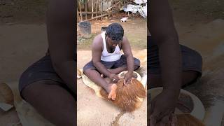 Traditional South Indian Music Instrument Parai making from Animal Hide [upl. by Buffum]