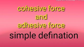 Cohesive force and adhesive force [upl. by Izy]