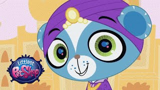 Littlest Pet Shop  Superstar Life Official Music Video [upl. by Mccarty]