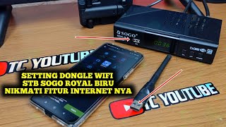 Cara setting dongle wifi set top box sogo royal  cara setting YouTube stb sogo royal biru [upl. by Karli899]