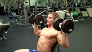 How To Dumbbell Shoulder Press [upl. by Ettesus762]