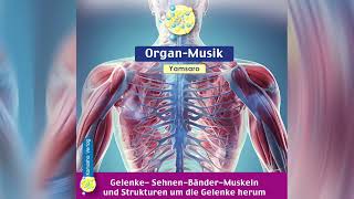 Gelenke Organ Musik 30 Sek [upl. by Adyol]