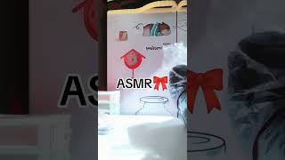 unboxing tas yang dikasih [upl. by Ahsiea640]